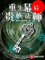 重生幕后贵族法师 重生幕后贵族法师
