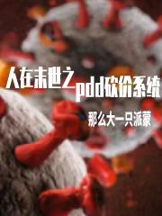 ����ĩ��֮pdd����ϵͳ