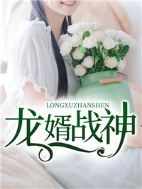 龙婿战神 龙婿战神