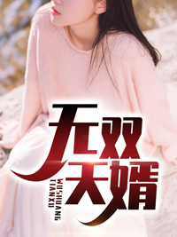 无双天婿 无双天婿