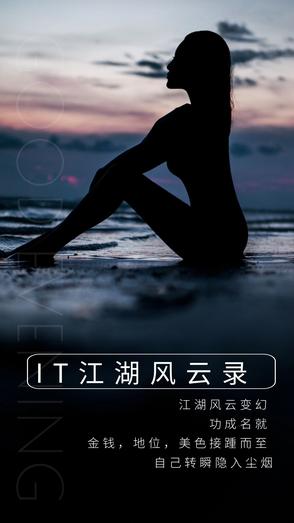 IT江湖风云录 IT江湖风云录